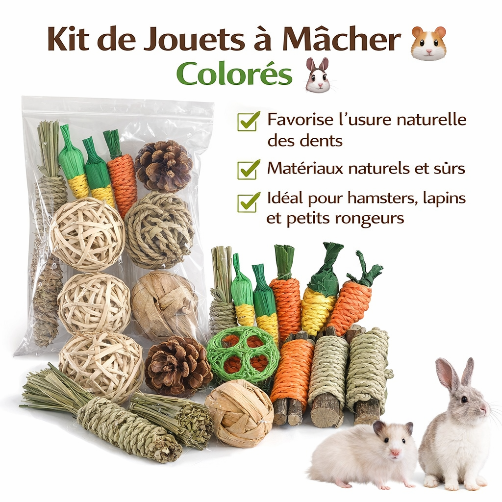 Set de Jouets à Mâcher pour Petits Animaux - Bois Naturel