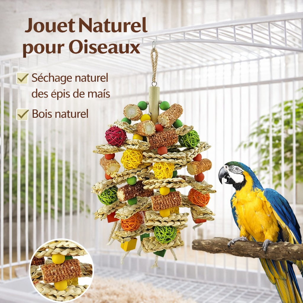Jouet Naturel pour Oiseaux