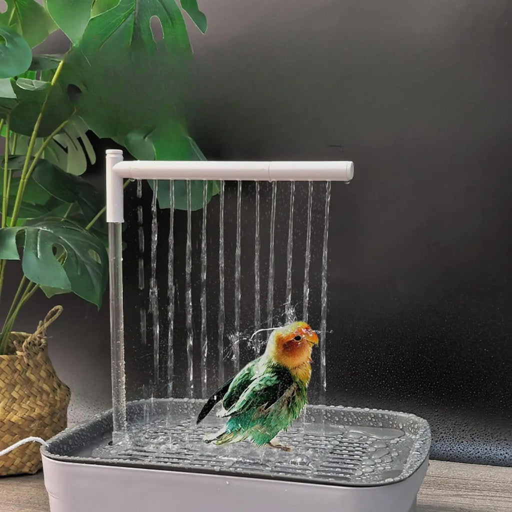 Baignoire Automatique pour Oiseaux - Eau Circulante USB