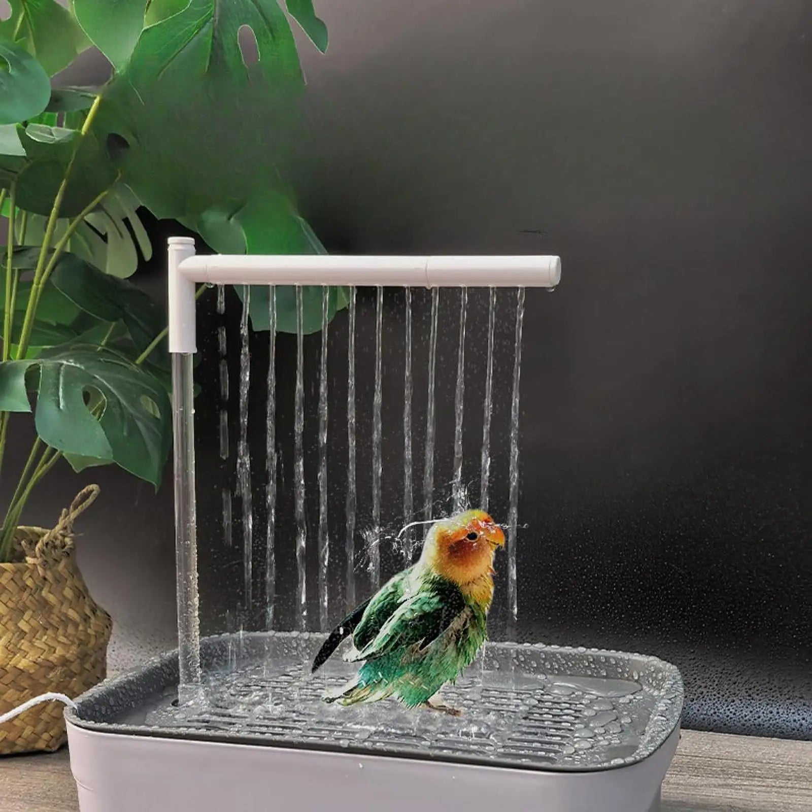 Baignoire Automatique pour Oiseaux - Eau Circulante USB