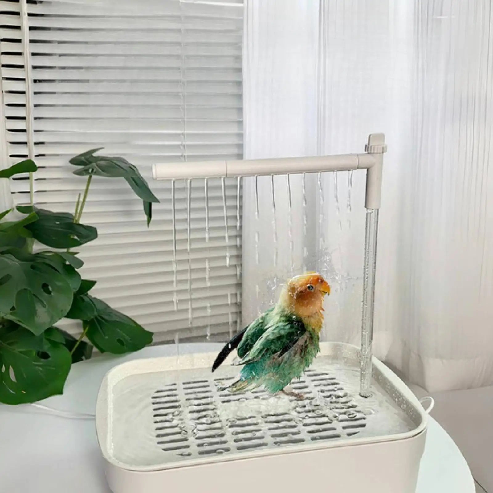 Baignoire Automatique pour Oiseaux - Eau Circulante USB