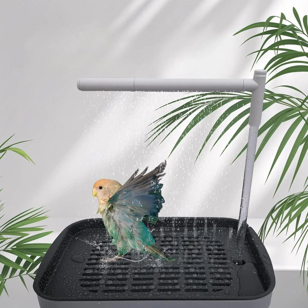 Baignoire Automatique pour Oiseaux - Eau Circulante USB