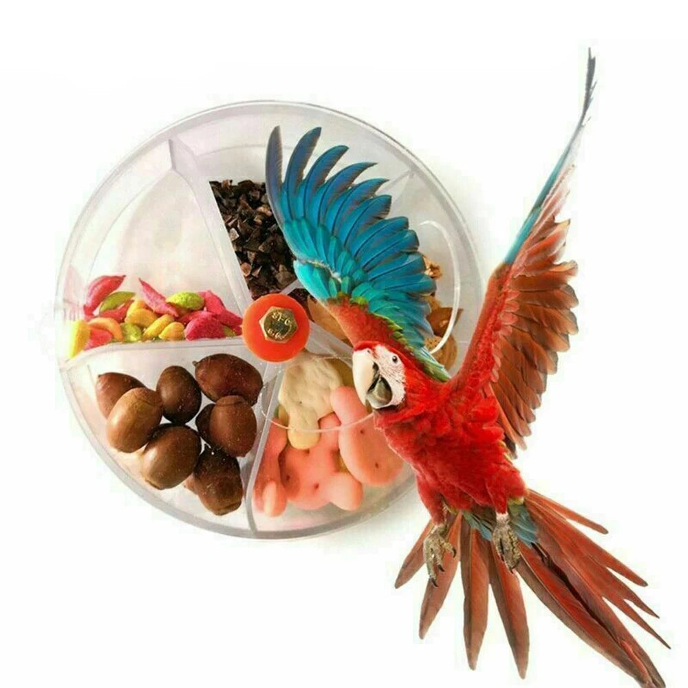 Jouet Rotatif de Recherche de Nourriture pour Oiseaux