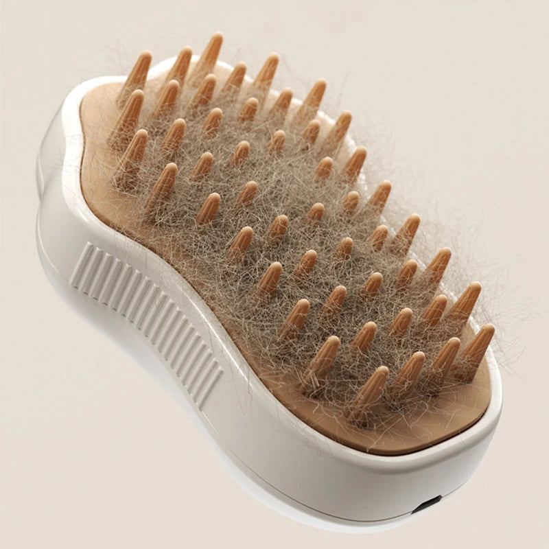 Brosse Vapeur Électrique