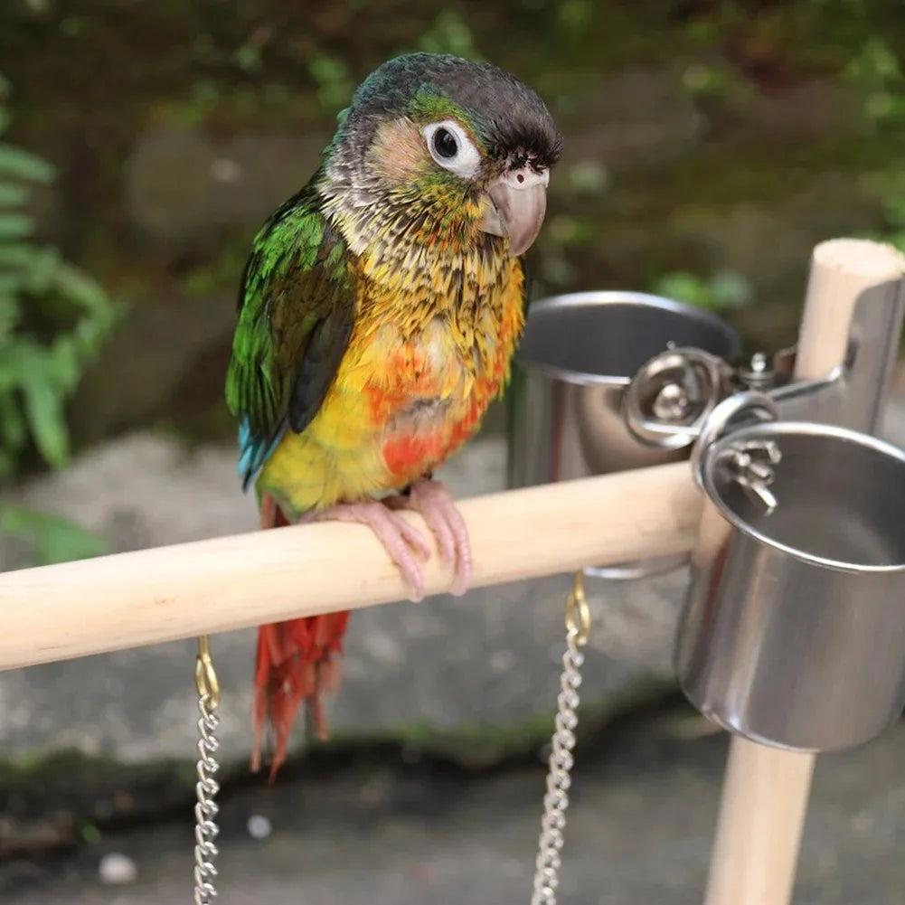 Aire de Jeux pour Oiseaux - Perchoirs et Accessoires