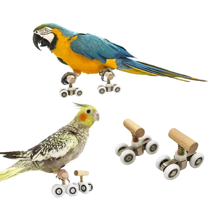 Patins à Roulettes pour Perroquet