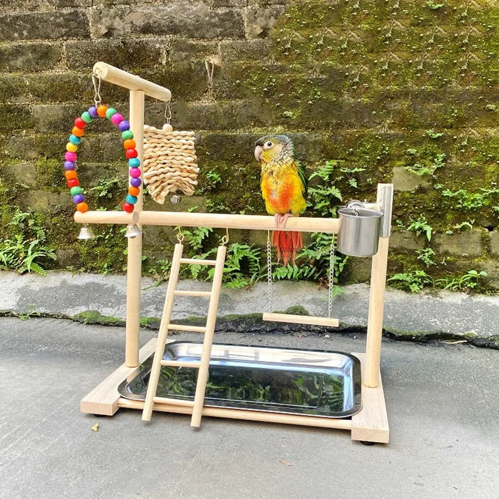 Aire de Jeux pour Oiseaux - Perchoirs et Accessoires