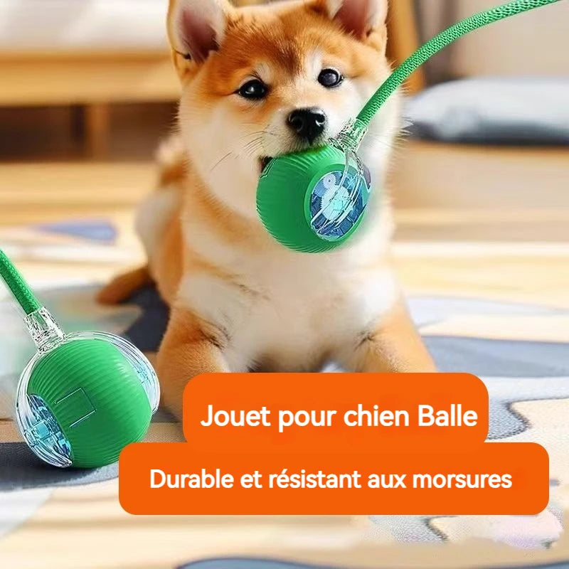 Balle Interactive Automatique