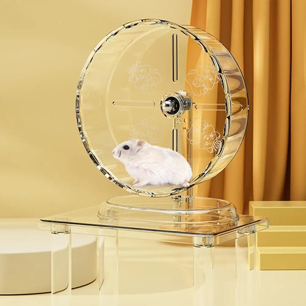 Roue Silencieuse d'Exercice Transparente pour Hamster