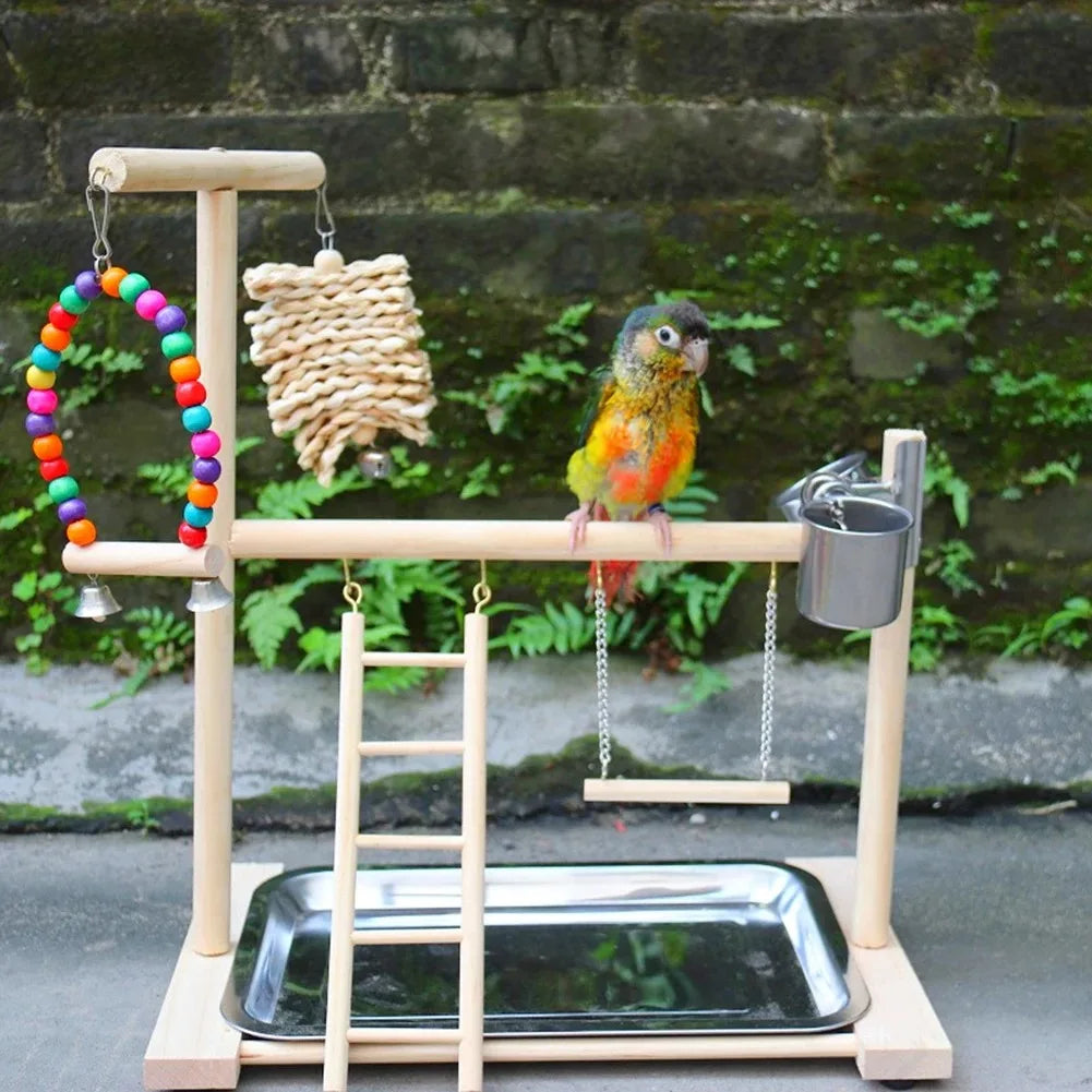 Aire de Jeux pour Oiseaux - Perchoirs et Accessoires