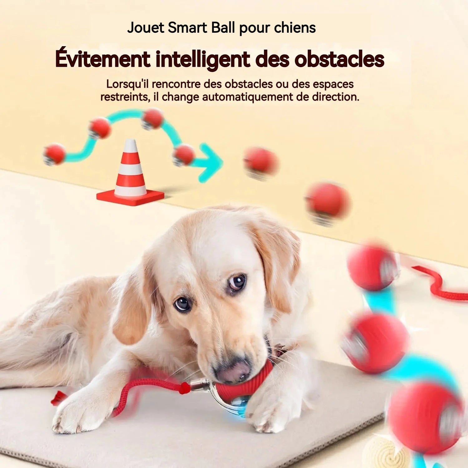 Balle Interactive Automatique