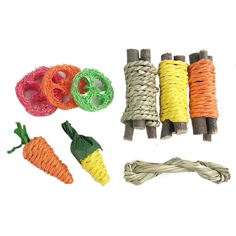 Set de Jouets à Mâcher pour Petits Animaux - Bois Naturel