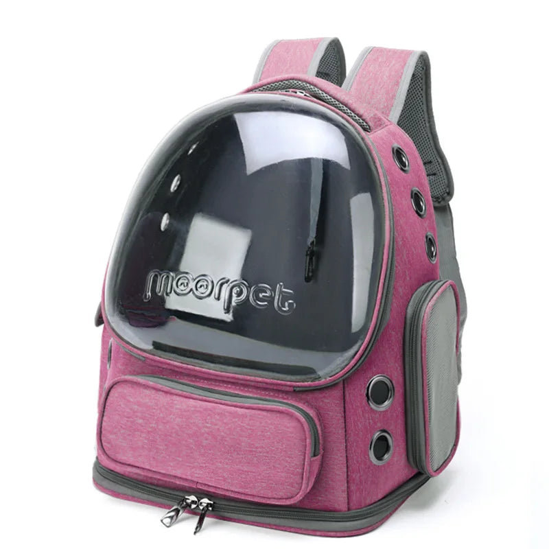 Sac de Transport Transparent pour Chat