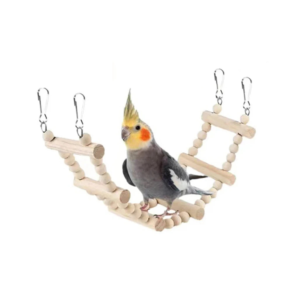 Ensemble de 8 Jouets pour Oiseaux - Balançoires et Accessoires