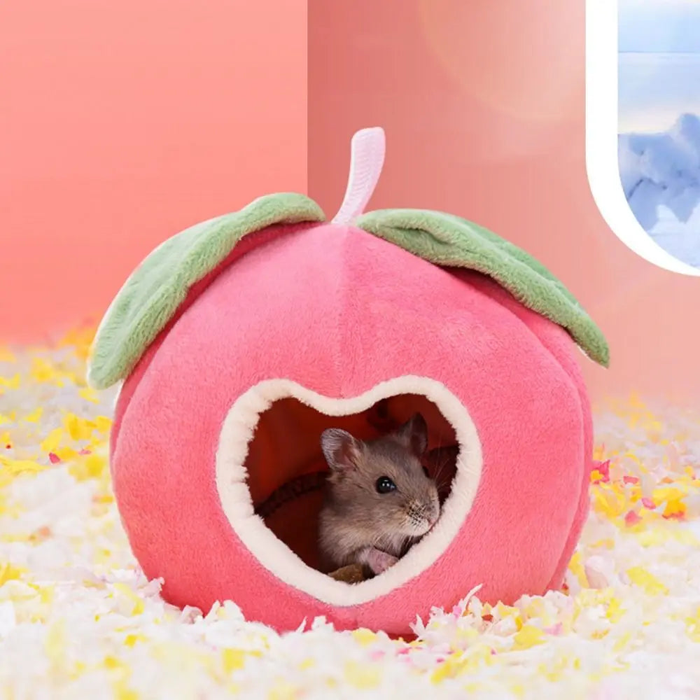 Nids Mignon pour Petit Animaux - Doux et Confortable
