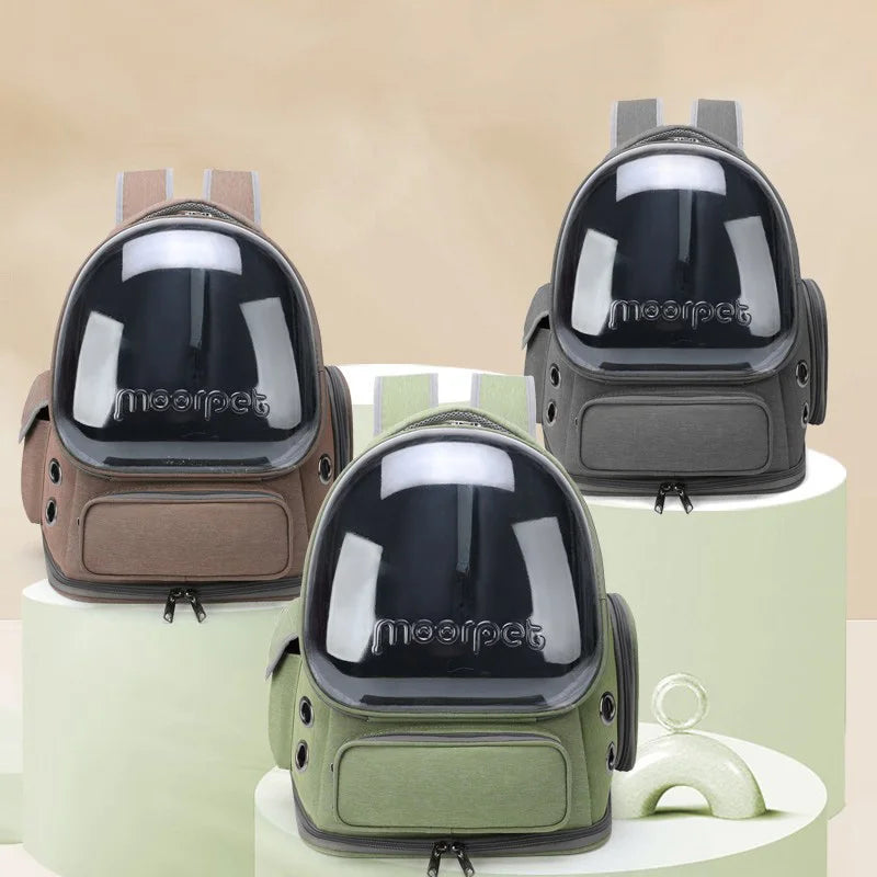 Sac de Transport Transparent pour Chat