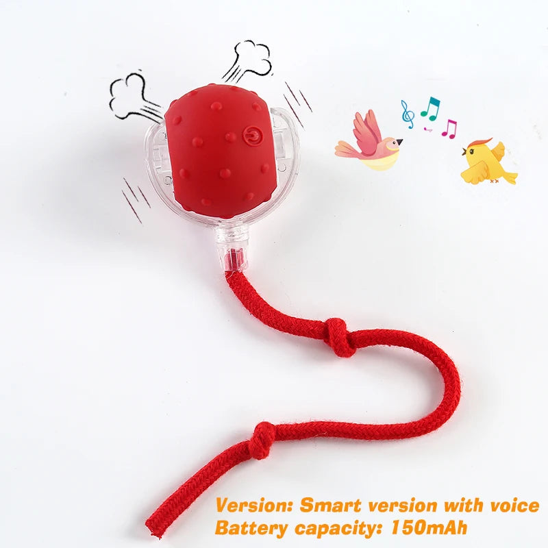 Balle Interactive Automatique