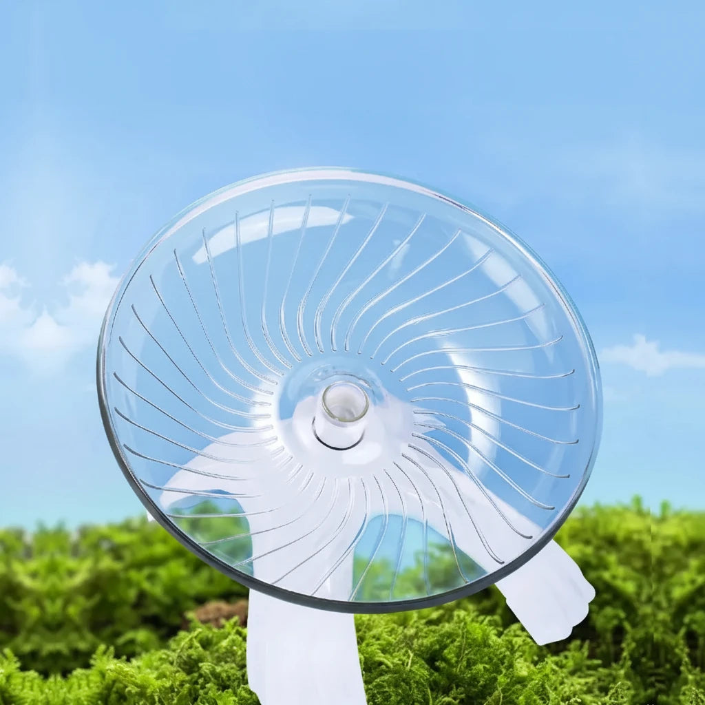 Roue d'Exercice Silencieuse pour Hamster