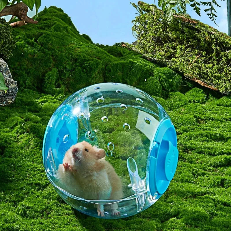 Boule d'Exercice pour Hamster - Transparente et Sécurisée