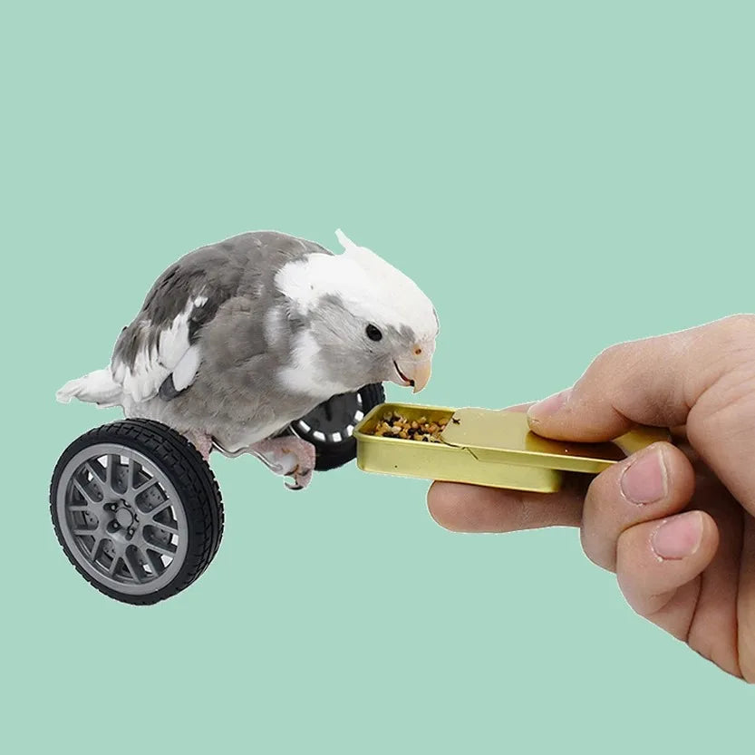 Jouet d'Équilibre pour Perroquet