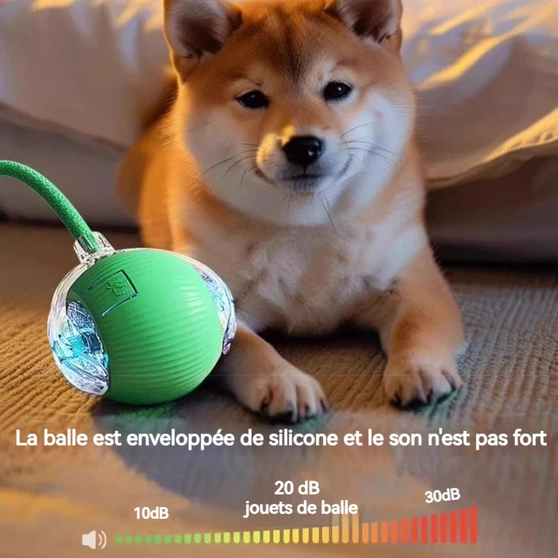 Balle Interactive Automatique