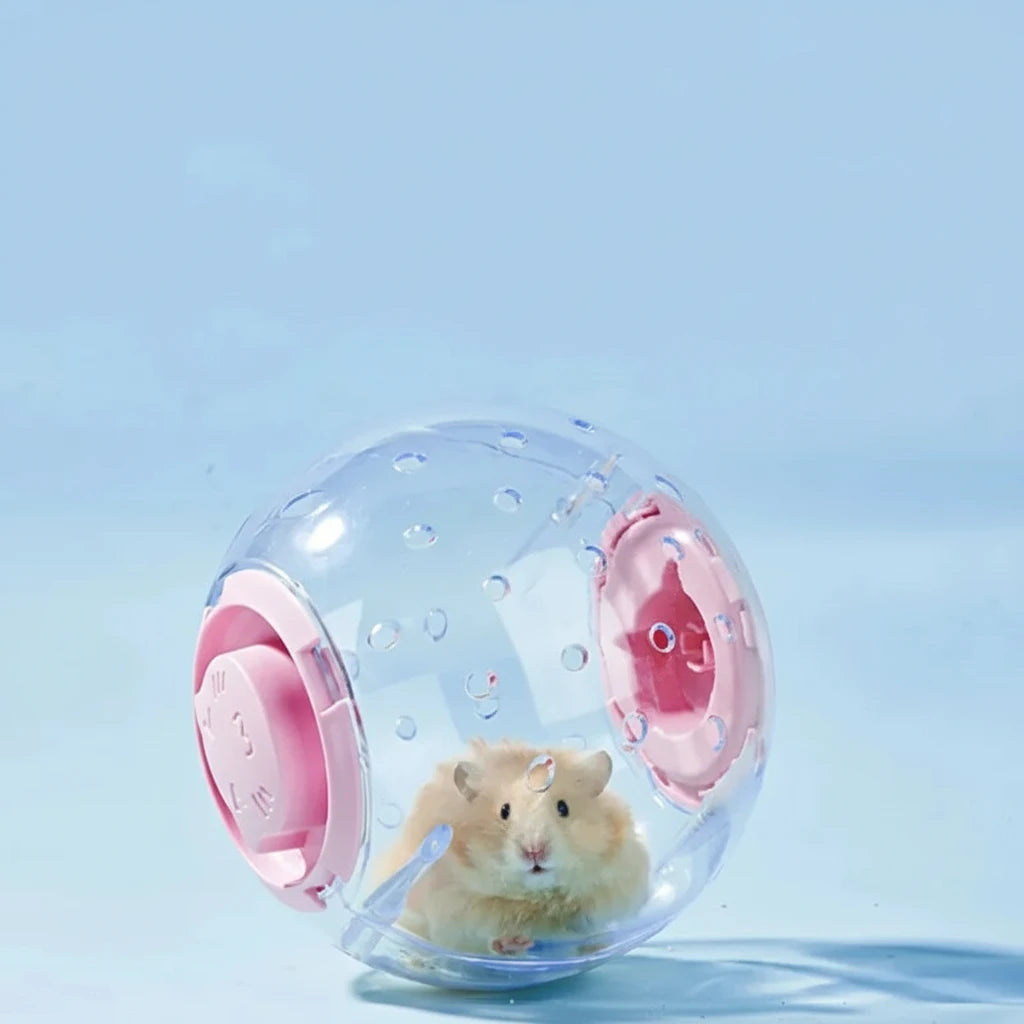 Boule d'Exercice pour Hamster - Transparente et Sécurisée