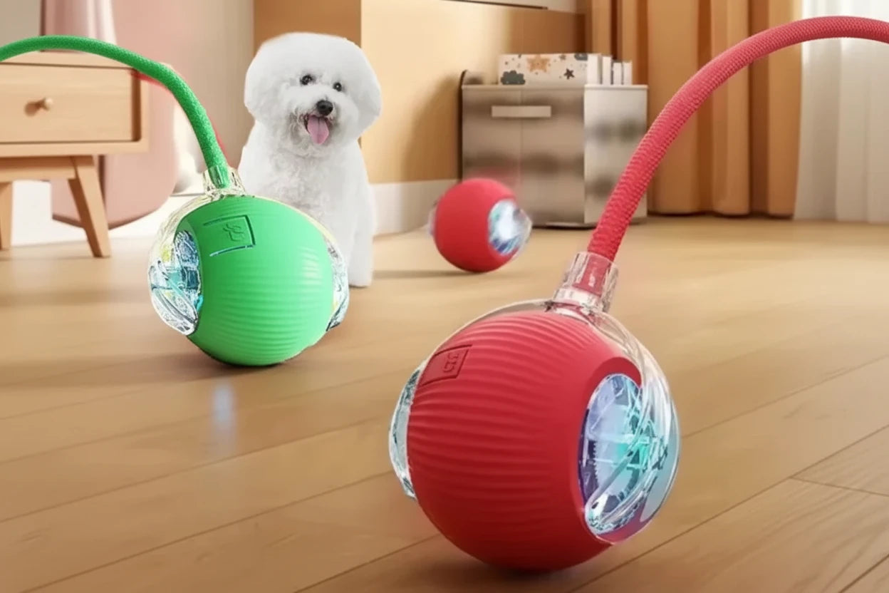Balle Interactive Automatique