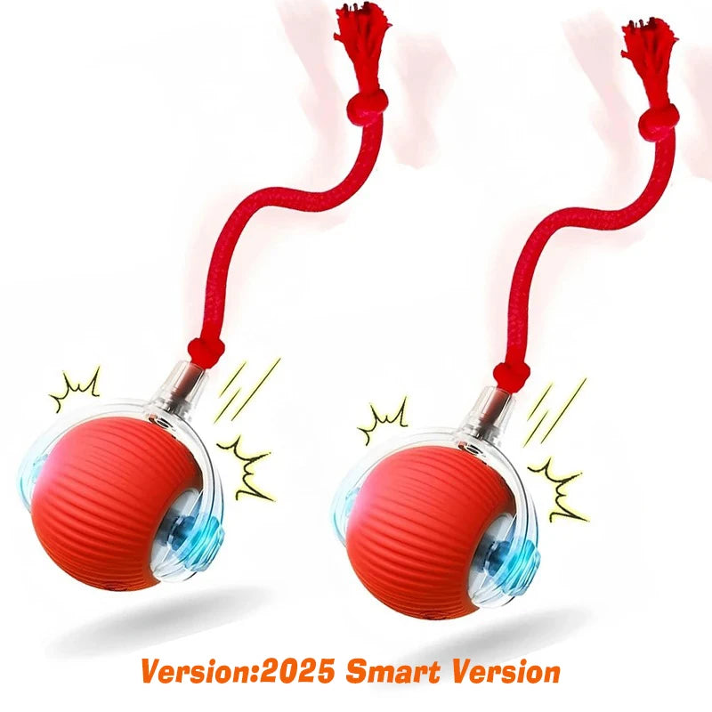 Balle Interactive Automatique