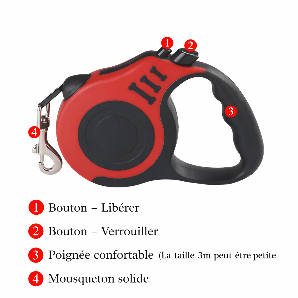 Laisse Rétractable Automatique en Nylon