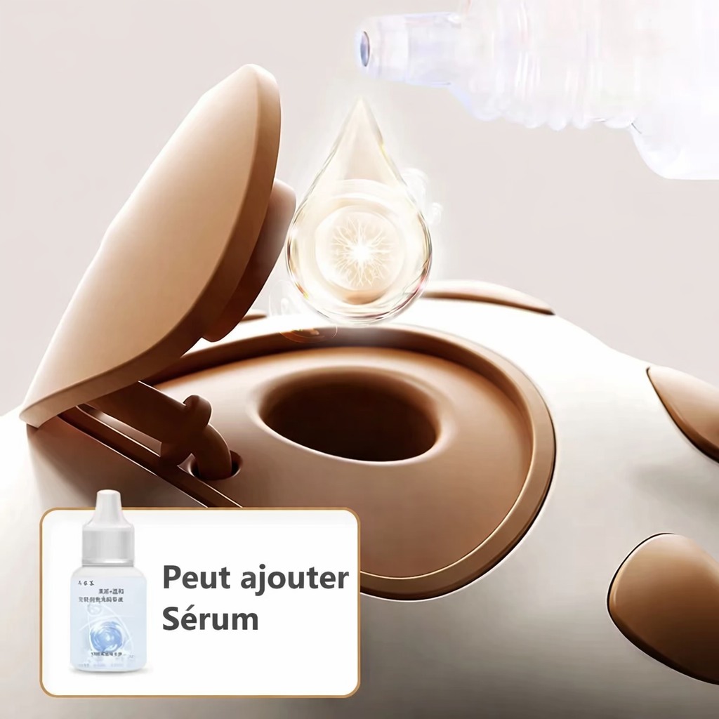 Brosse Vapeur Électrique