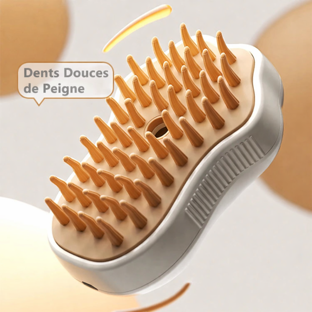 Brosse Vapeur Électrique
